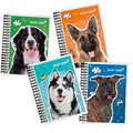 Cuaderno Francés Pasta Dura Raya Con 180 Hojas, Espiral Premium