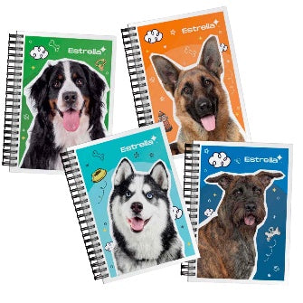 Cuaderno Francés Pasta Dura Raya Con 180 Hojas, Espiral Premium