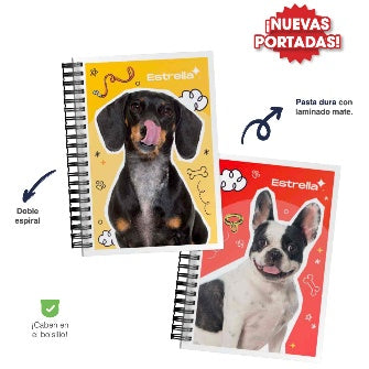 Cuaderno Francés 1/8 Mini Book Raya Pasta Dura Con 80 Hojas